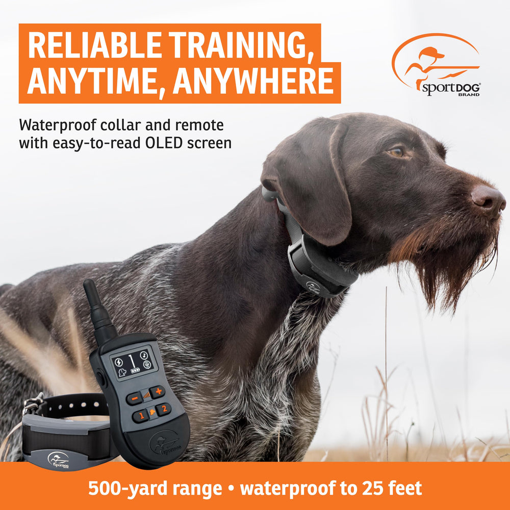 SportDOG SportTrainer 575 OLED screen image highlights easy visibility while adjusting stimulation levels.