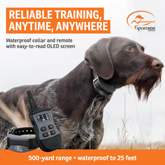 SportDOG SportTrainer 575 OLED screen image highlights easy visibility while adjusting stimulation levels.