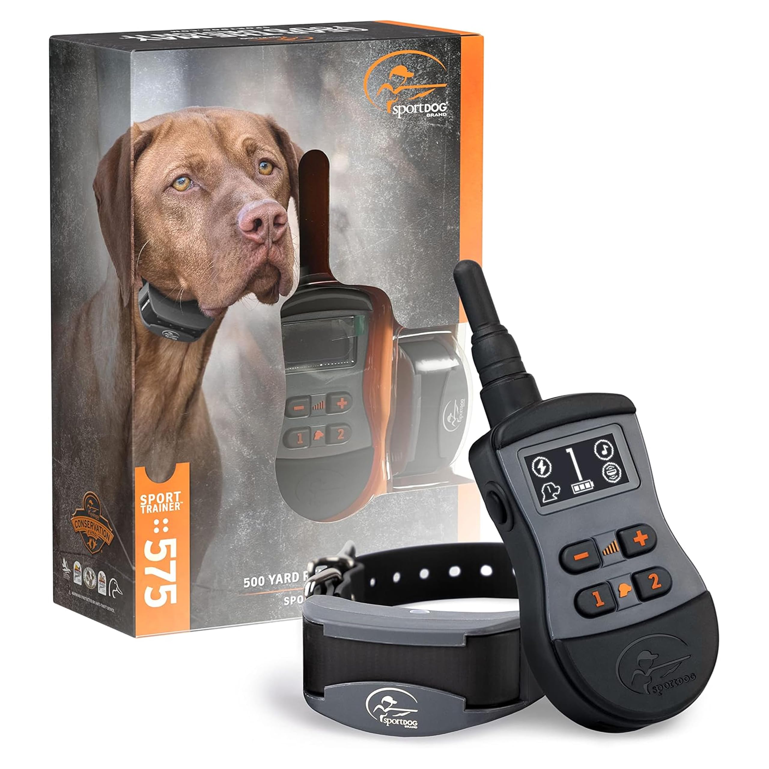 SportDOG SportTrainer 575 remote transmitter with OLED display for quick field adjustments.