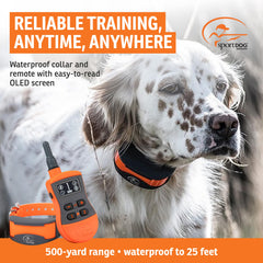 SportDOG SportTrainer on dog with collar enables reliable off-leash commands.