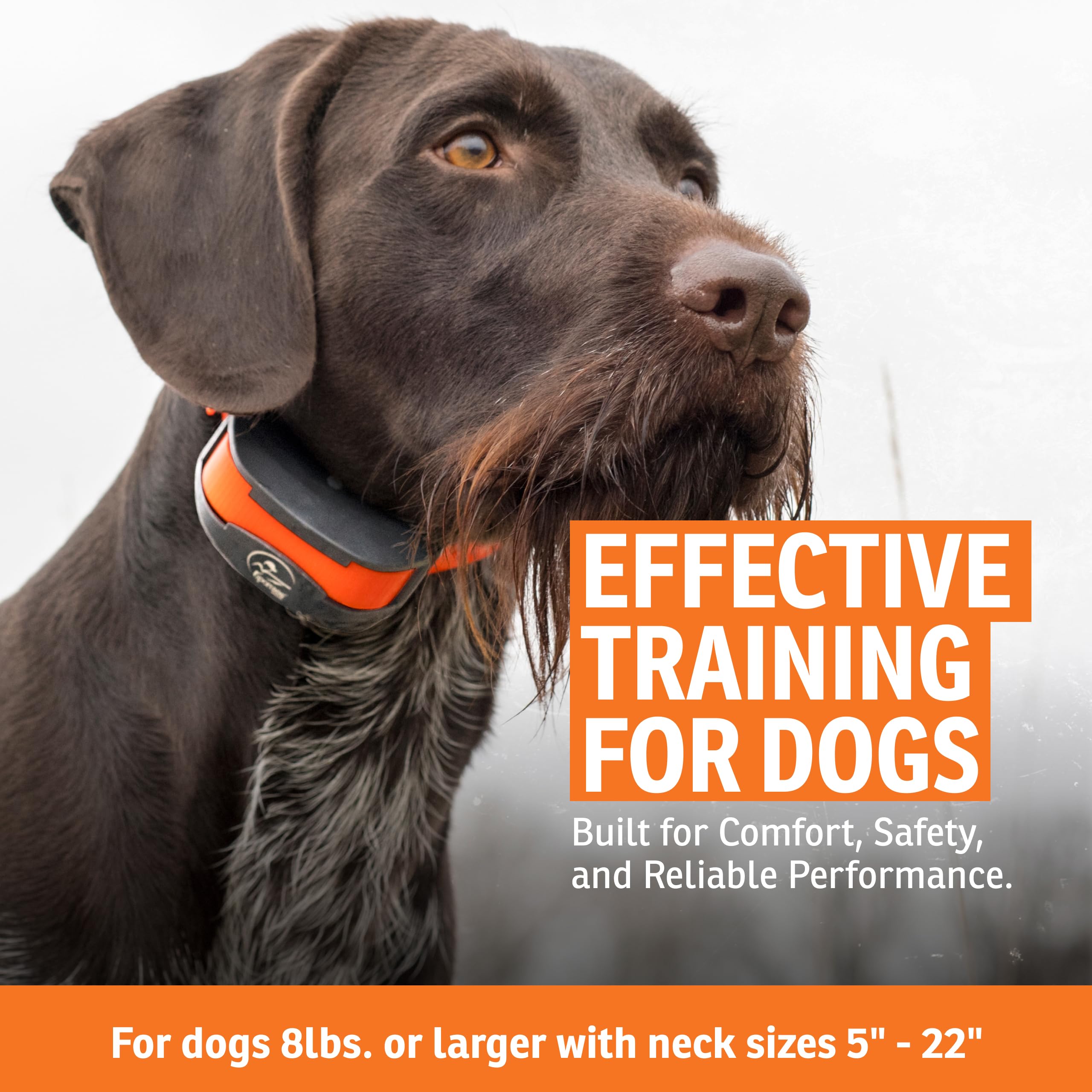 SportDOG SportTrainer DryTek waterproof design for rugged outdoor use