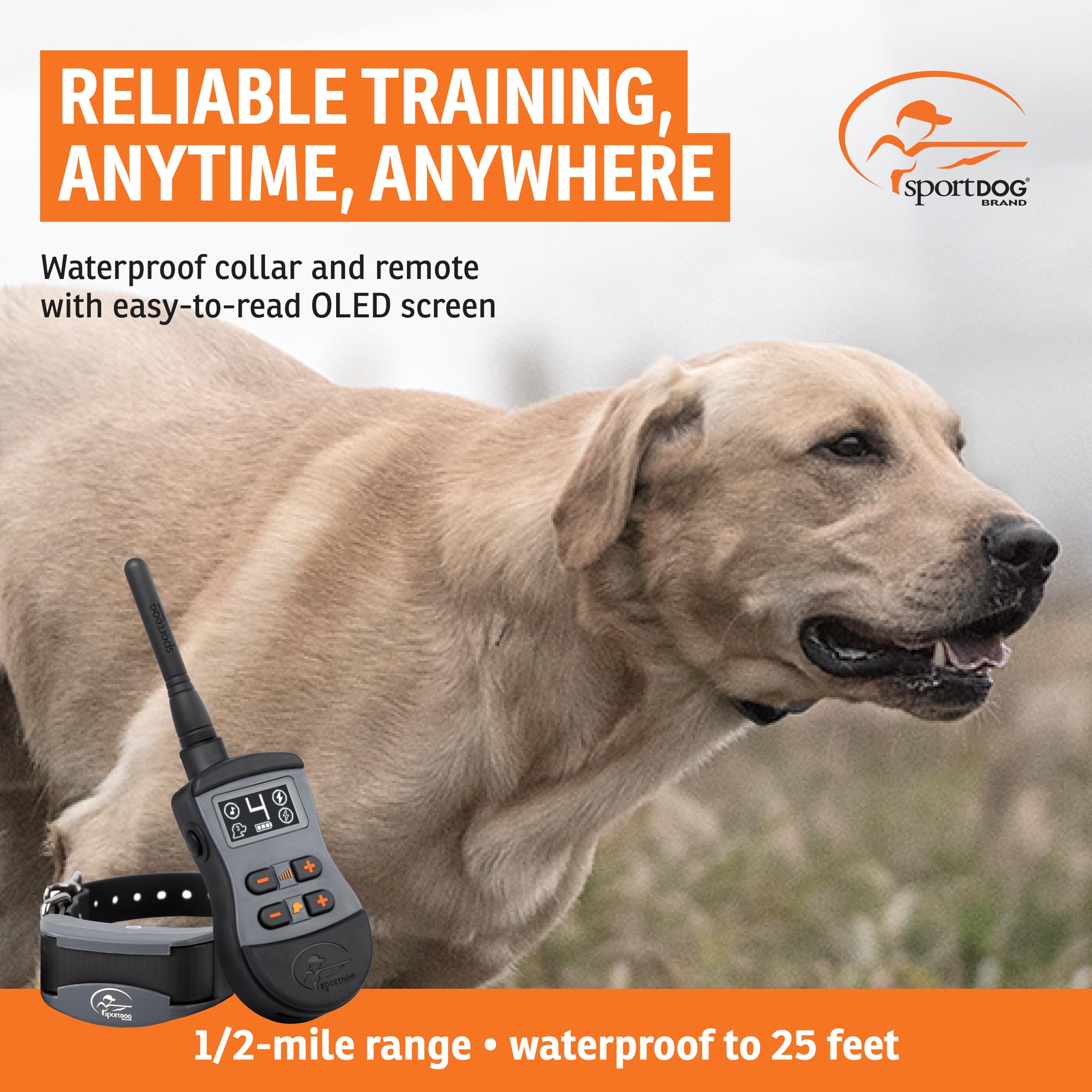 SportDOG SportTrainer off-leash training setup shows clear feedback for obedience.