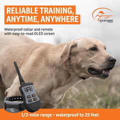 SportDOG SportTrainer off-leash training setup shows clear feedback for obedience.
