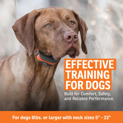 SportDOG SportTrainer waterproof DryTek gear for rain and mud field training.