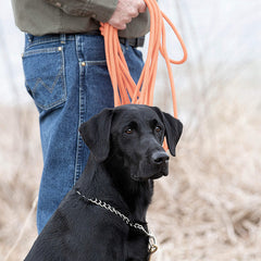 SportDOG tangle-free design reduces snagging in outdoor sessions.