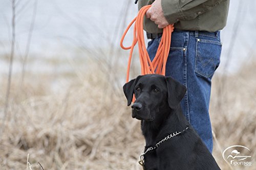 SportDOG trusted by trainers since 2003 for reliable performance.