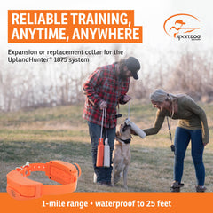 SportDOG UplandHunter 1875 collar receiver ready for humane corrections.