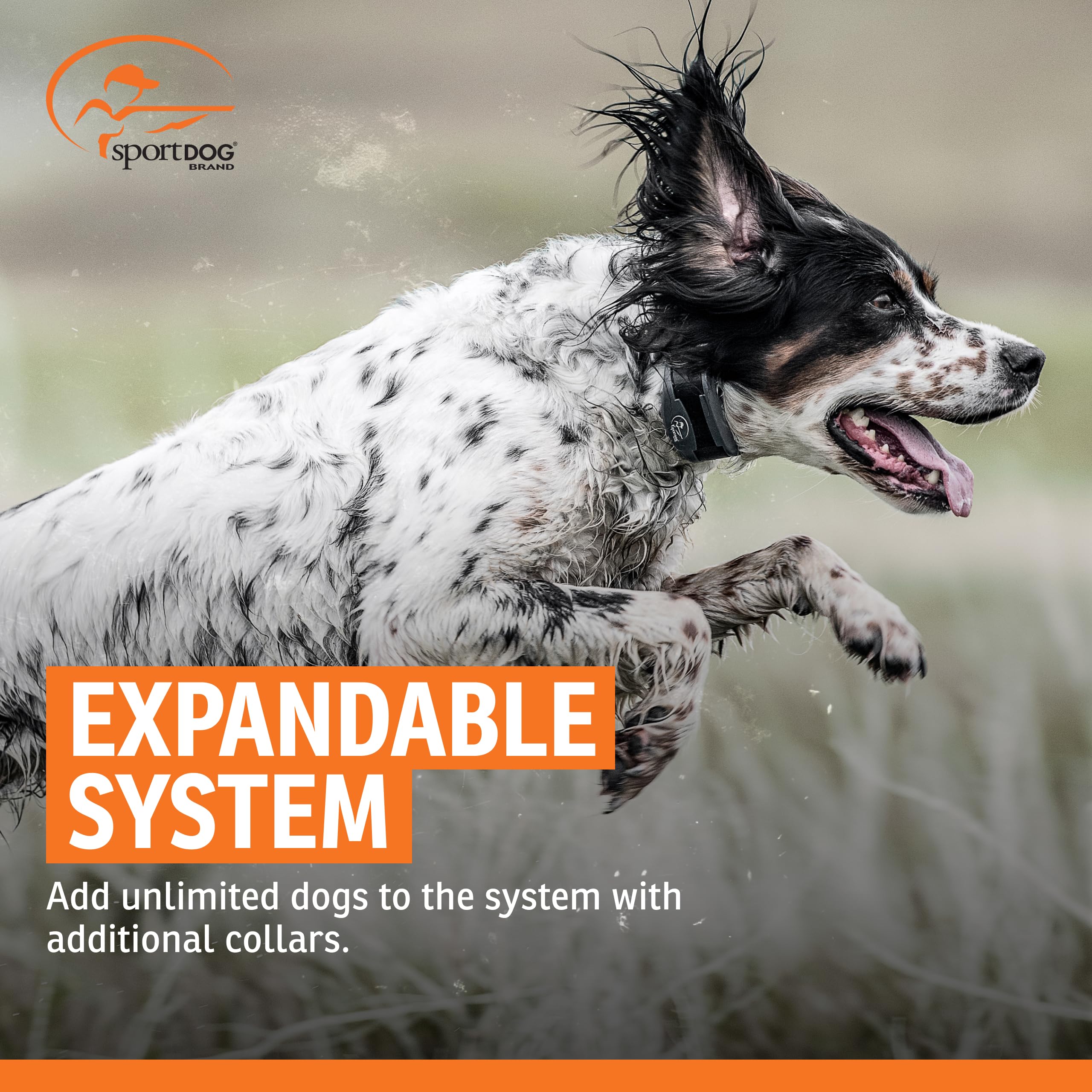 SportDOG Weatherproof construction withstands rugged outdoor conditions for dependable use.