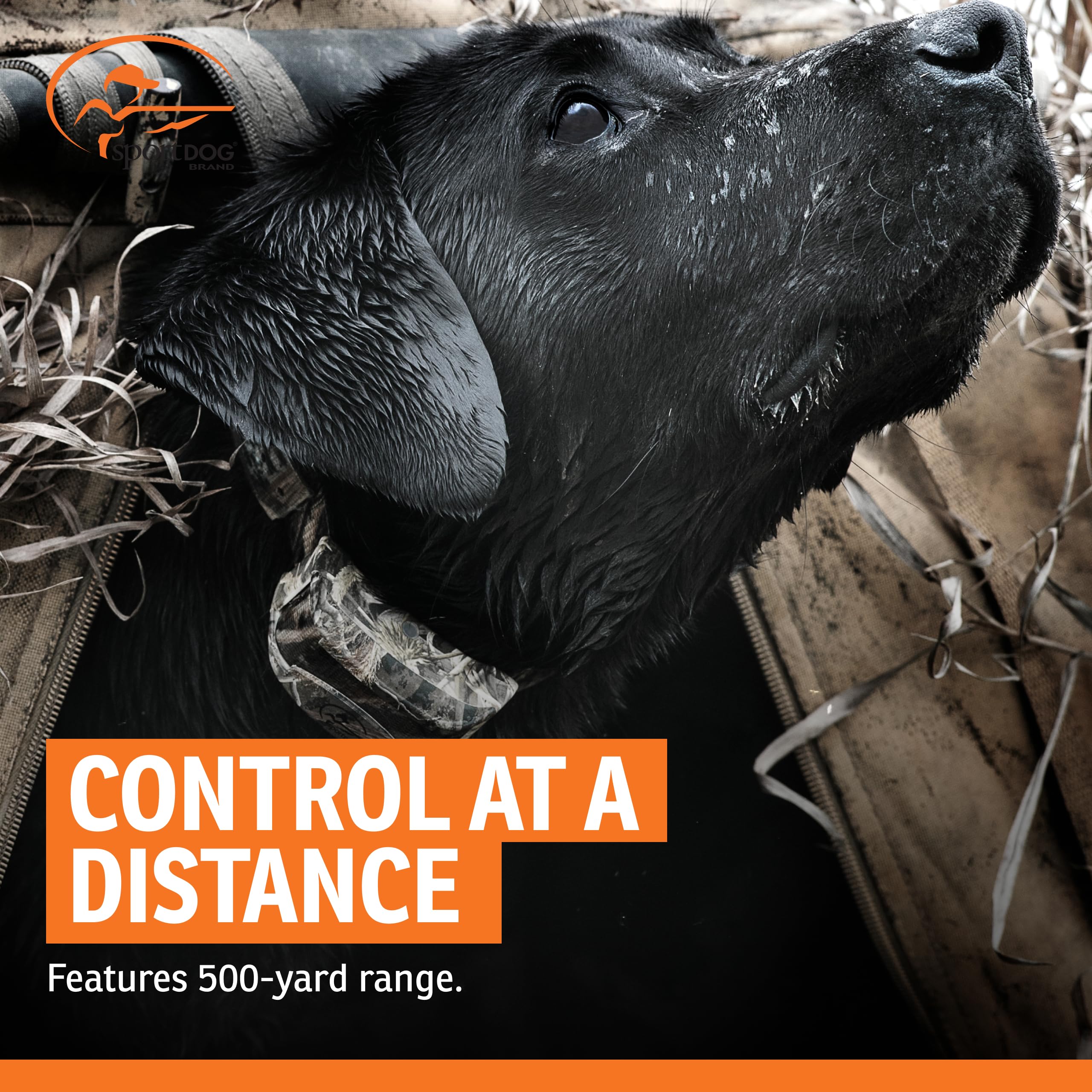 SportDOG WetlandHunter 425X multi-dog compatibility with a single remote