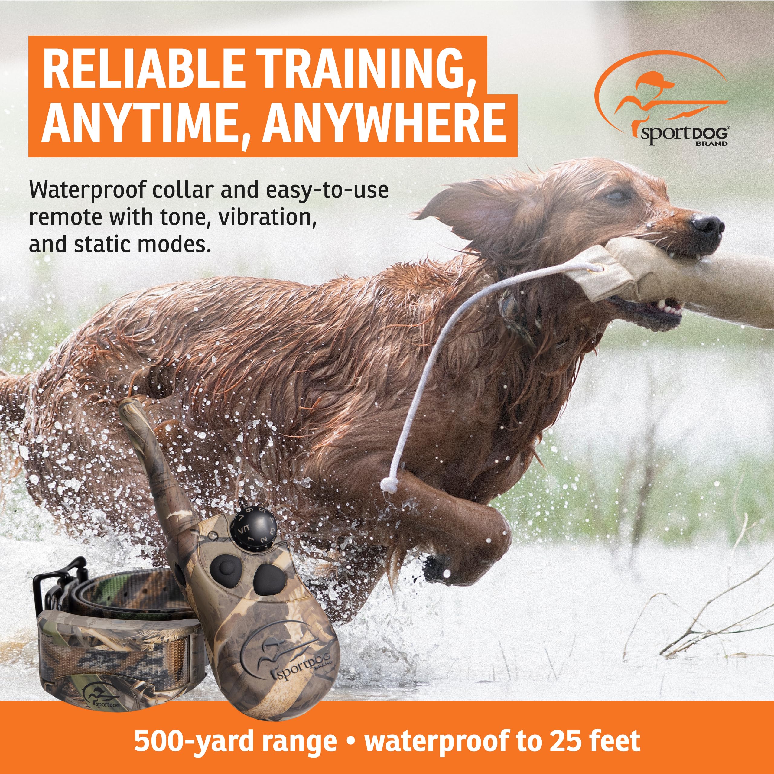 SportDOG WetlandHunter 425X collar close-up camouflage