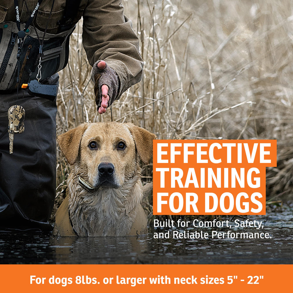 SportDOG WetlandHunter 425X DryTek waterproof feature in rain