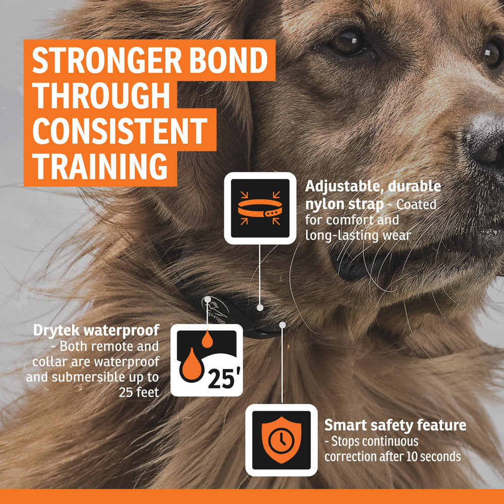 SportDOG YardTrainer 100S rechargeable battery icon indicating quick charge readiness.
