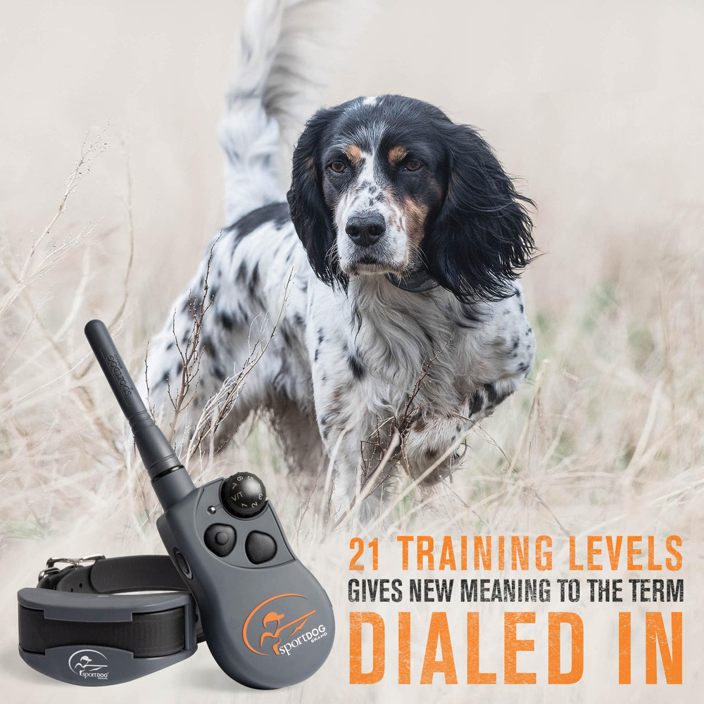 SportDOG YardTrainer DryTek waterproof demonstrates field-ready reliability in wet conditions.