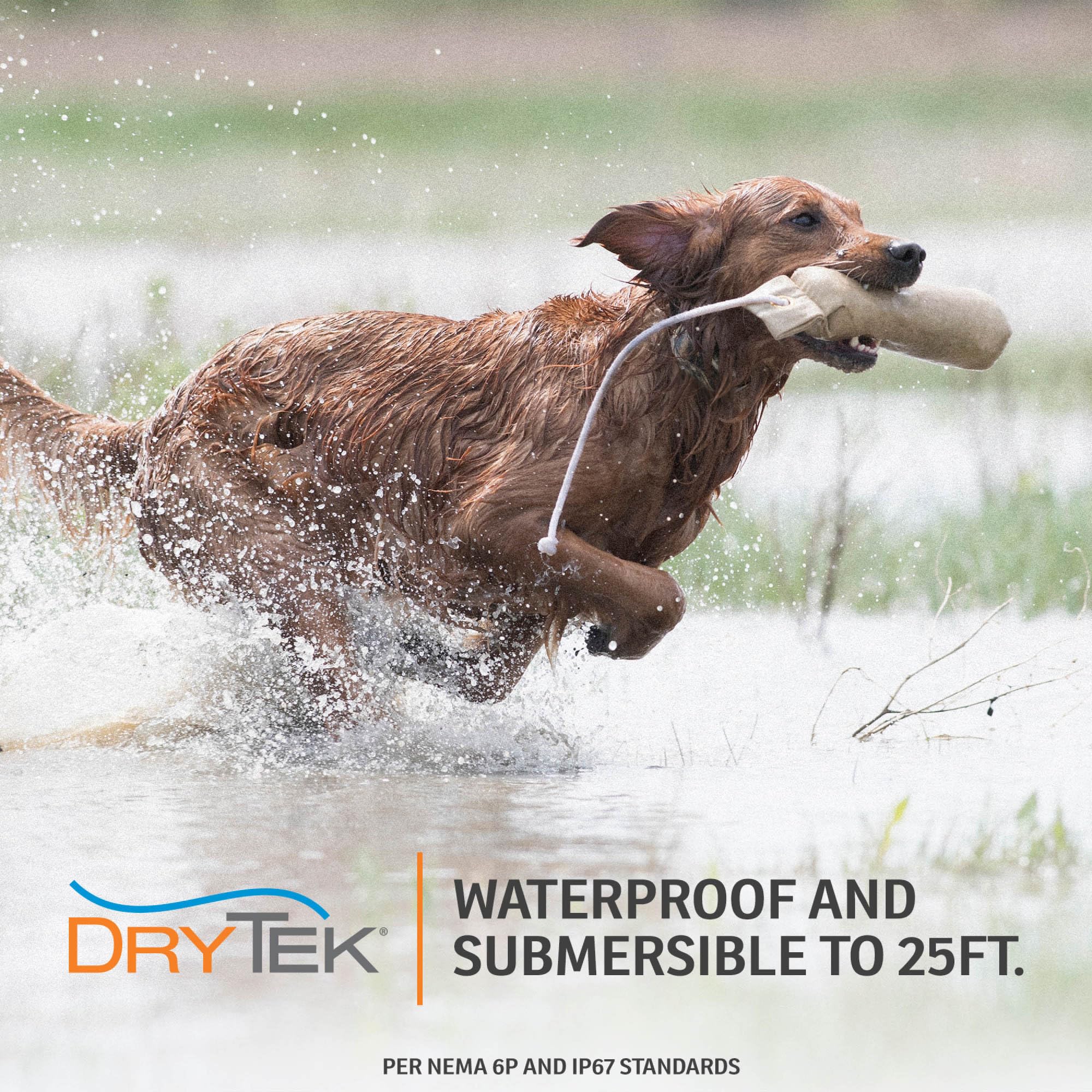 SportDOG YardTrainer off-leash-training image emphasizes reliable control in open spaces.