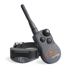 SportDOG YardTrainer remote training usage shows off-leash control for reliable obedience.