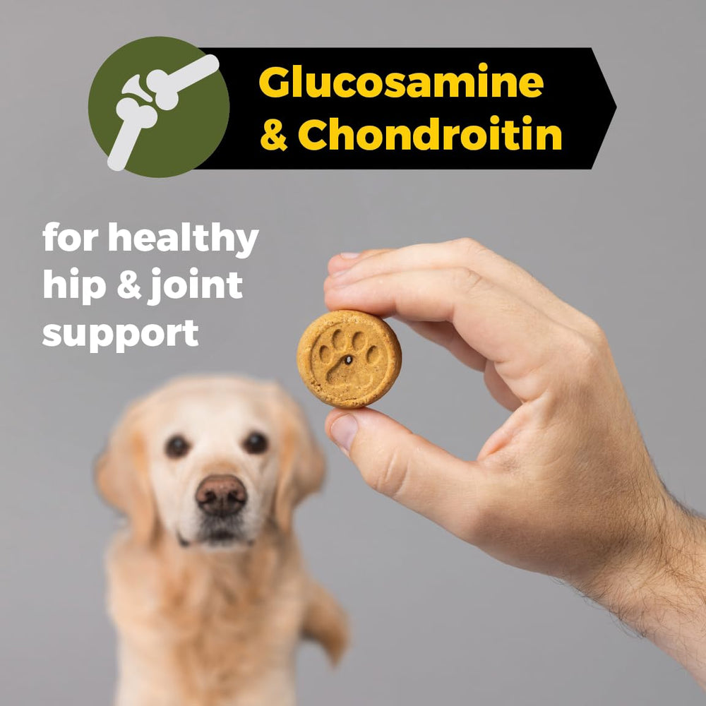 Sportsman's Pride Field Master hip-joint support biscuits with glucosamine for active dogs.
