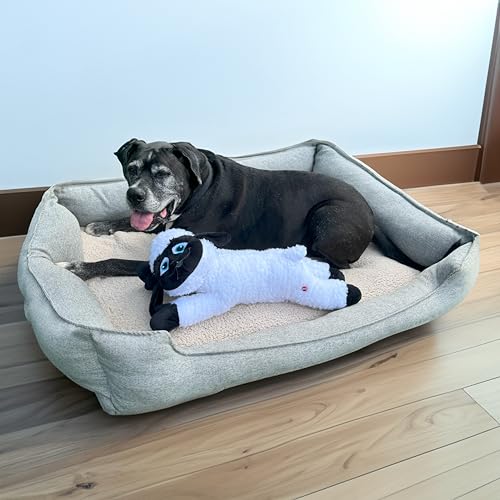 Spot Baa Baa Black Sheep plush toy squeaker inside encourages playful engagement during fetch.