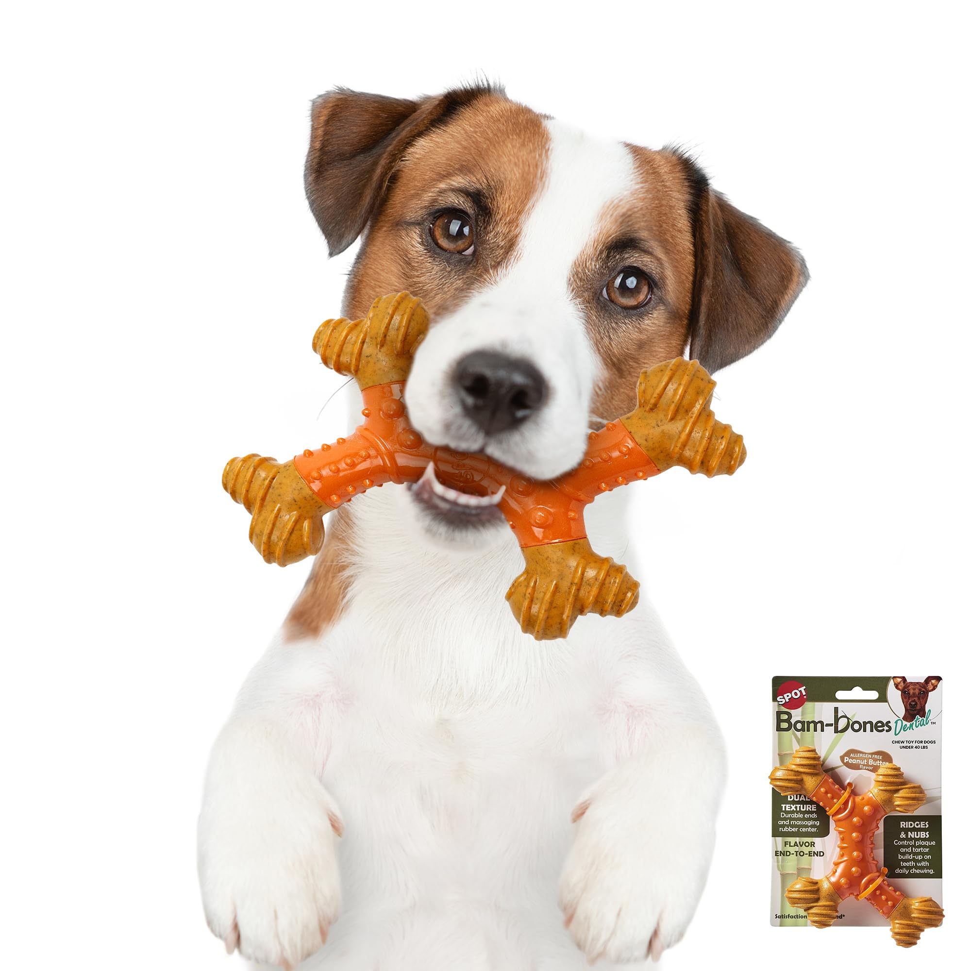 SPOT Bam-Bones X-Bone: disponible en 6 pulgadas para perros pequeños.