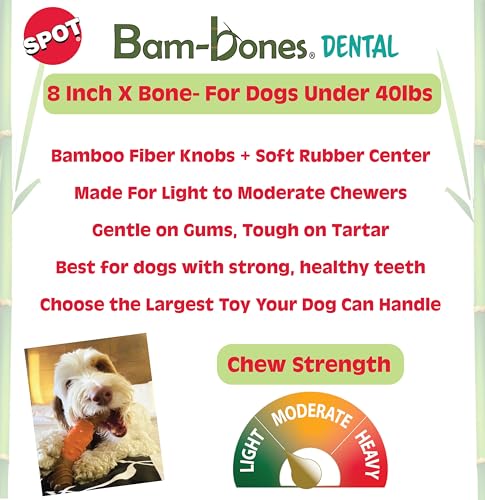 SPOT Bam-Bones: textura dual con centro de goma para masaje dental.