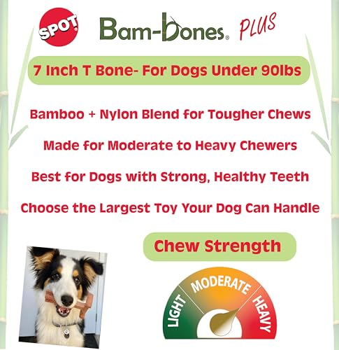 SPOT Bam-Bones Plus easy-grip design helps dogs hold steady during chewing.