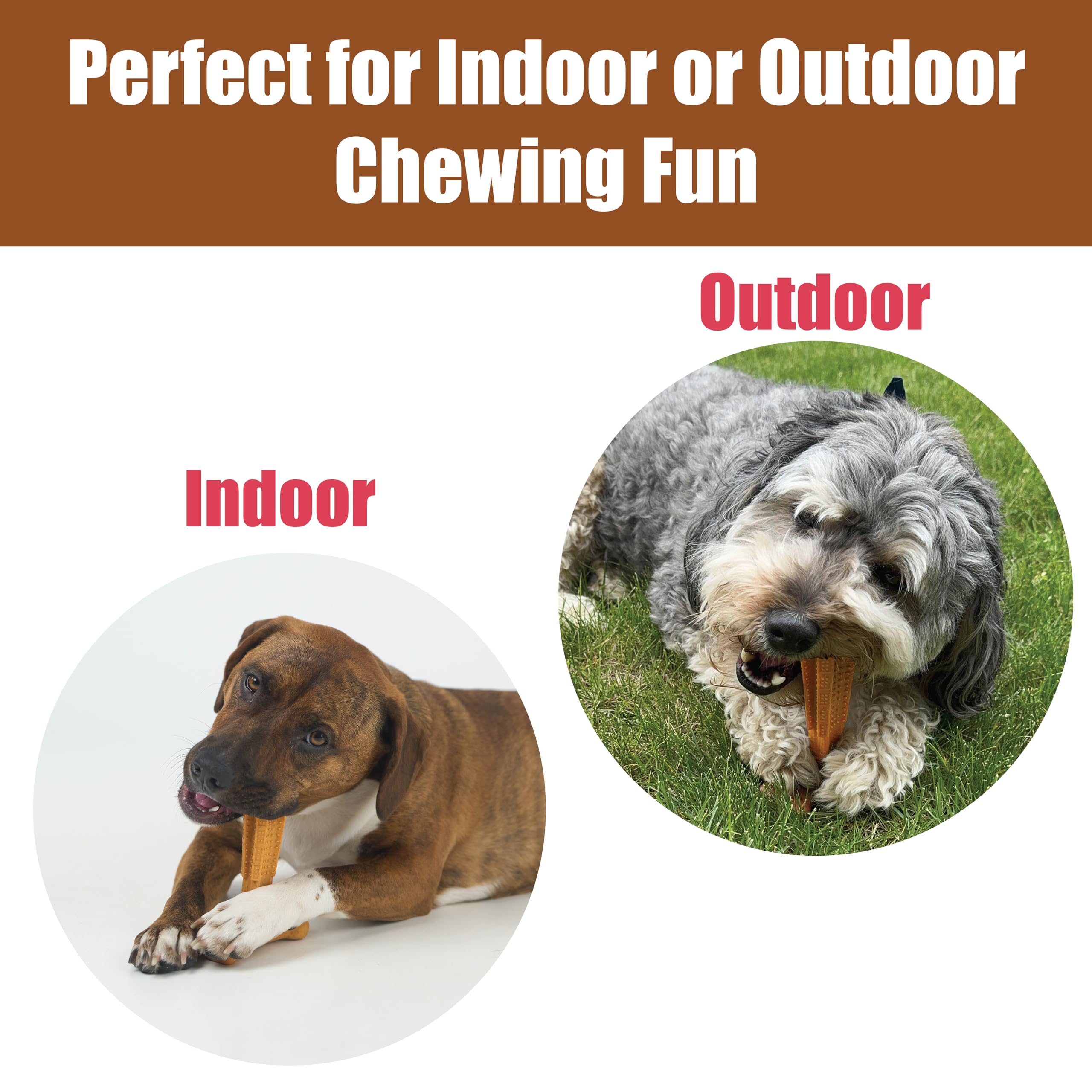 SPOT Bam-Bones Plus non-splintering chew reduces risk during play.