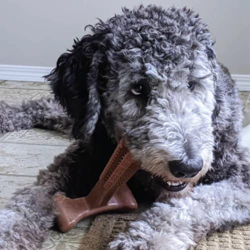 Raised bumps on SPOT Bambone Plus for dental-friendly chewing