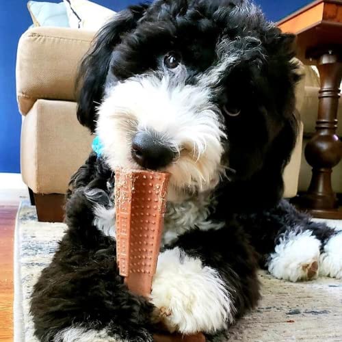 Dog enjoying SPOT Bambone Plus during training and chew time
