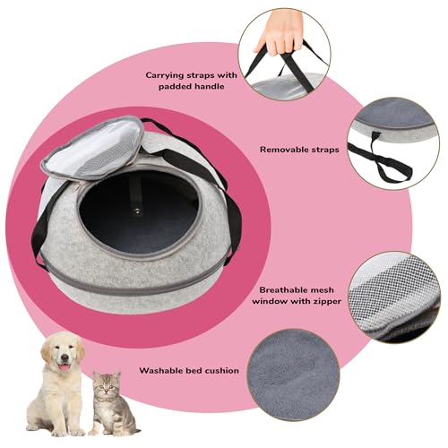 SPOT Doc & Phoebe’s cozy cave mode shows soft interior for a snug feel