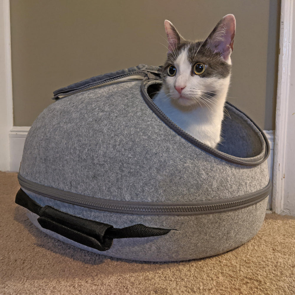 SPOT Doc & Phoebe’s vinyl liner simplifies interior cleaning and protection