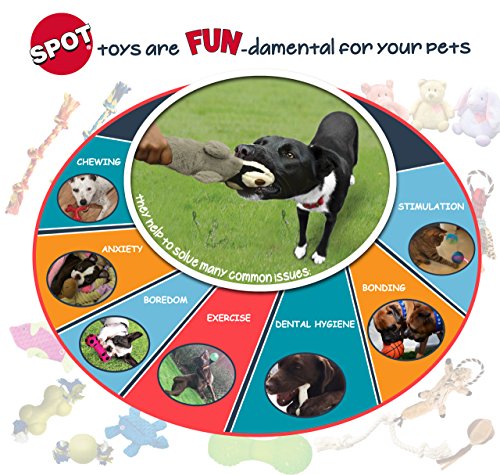 SPOT Launch & Fetch compact storage area keeps extra balls handy.