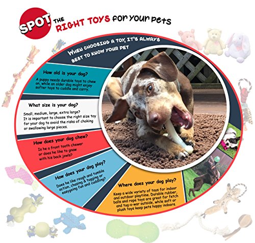 SPOT Launch & Fetch close-up highlights durable materials for outdoor play.
