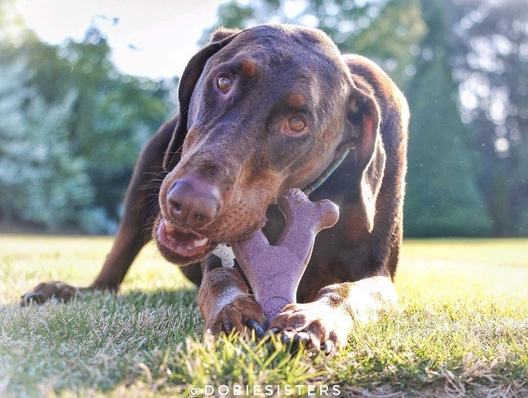 SPOT PET Toy DG Bon BACN5.25 chew with tasty flavor offers engaging chewing sessions.