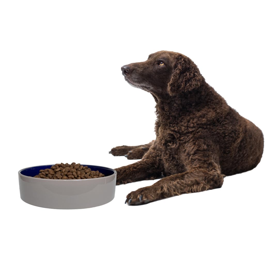 SPOT Standard Crock Dish non-slip base for stable feeding