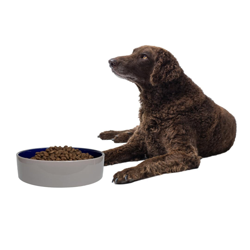 SPOT Standard Crock Dish non-slip base for stable feeding