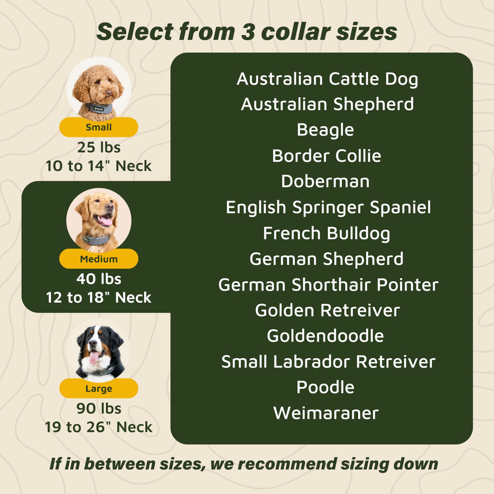 SpotOn IP67 waterproof collar suitable for rain, snow, and swimming