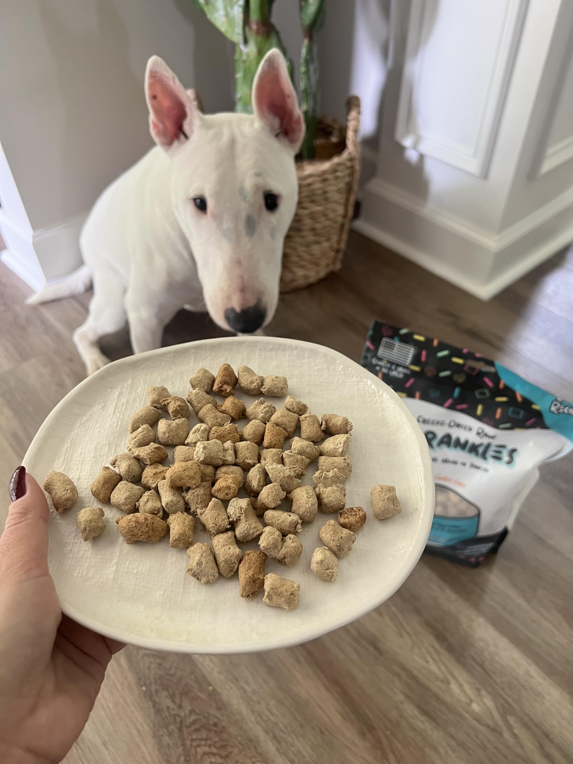 SPRANKLES freeze-dried raw dog treats close-up with vibrant texture