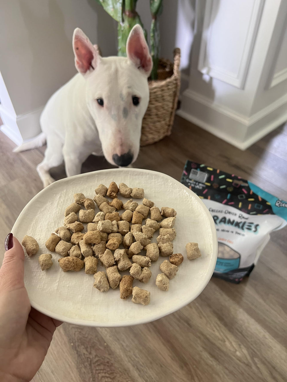SPRANKLES freeze-dried raw dog treats close-up with vibrant texture