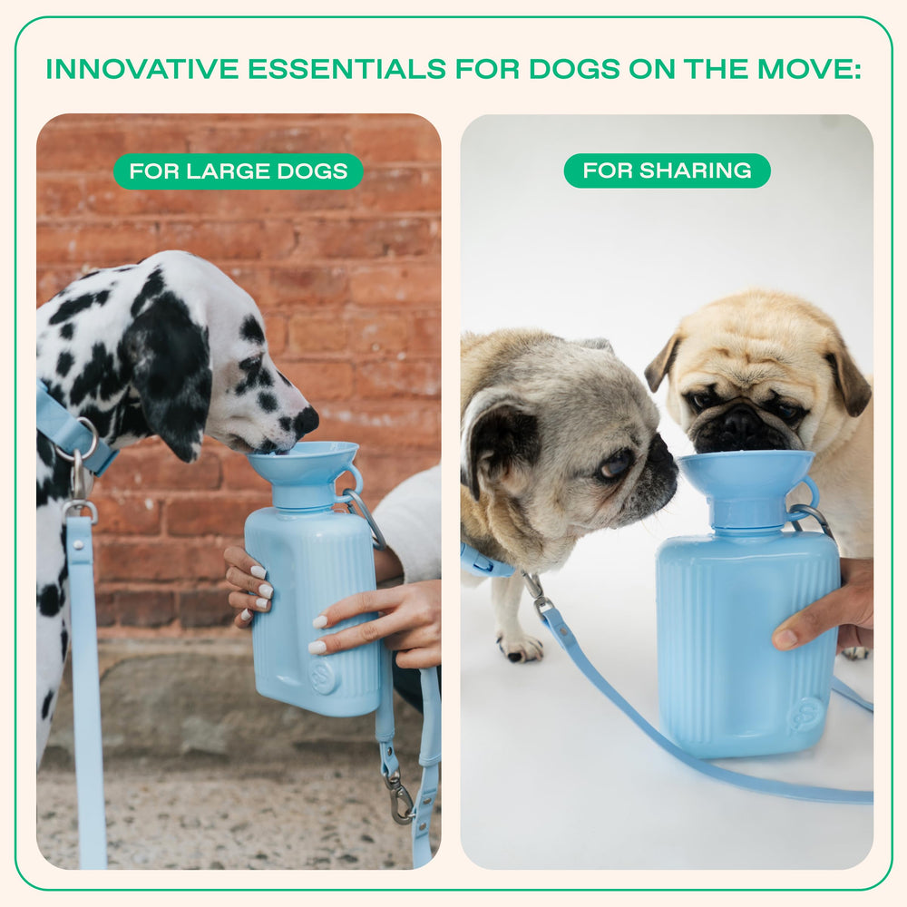 BPA-free label on Springer dog bottle.