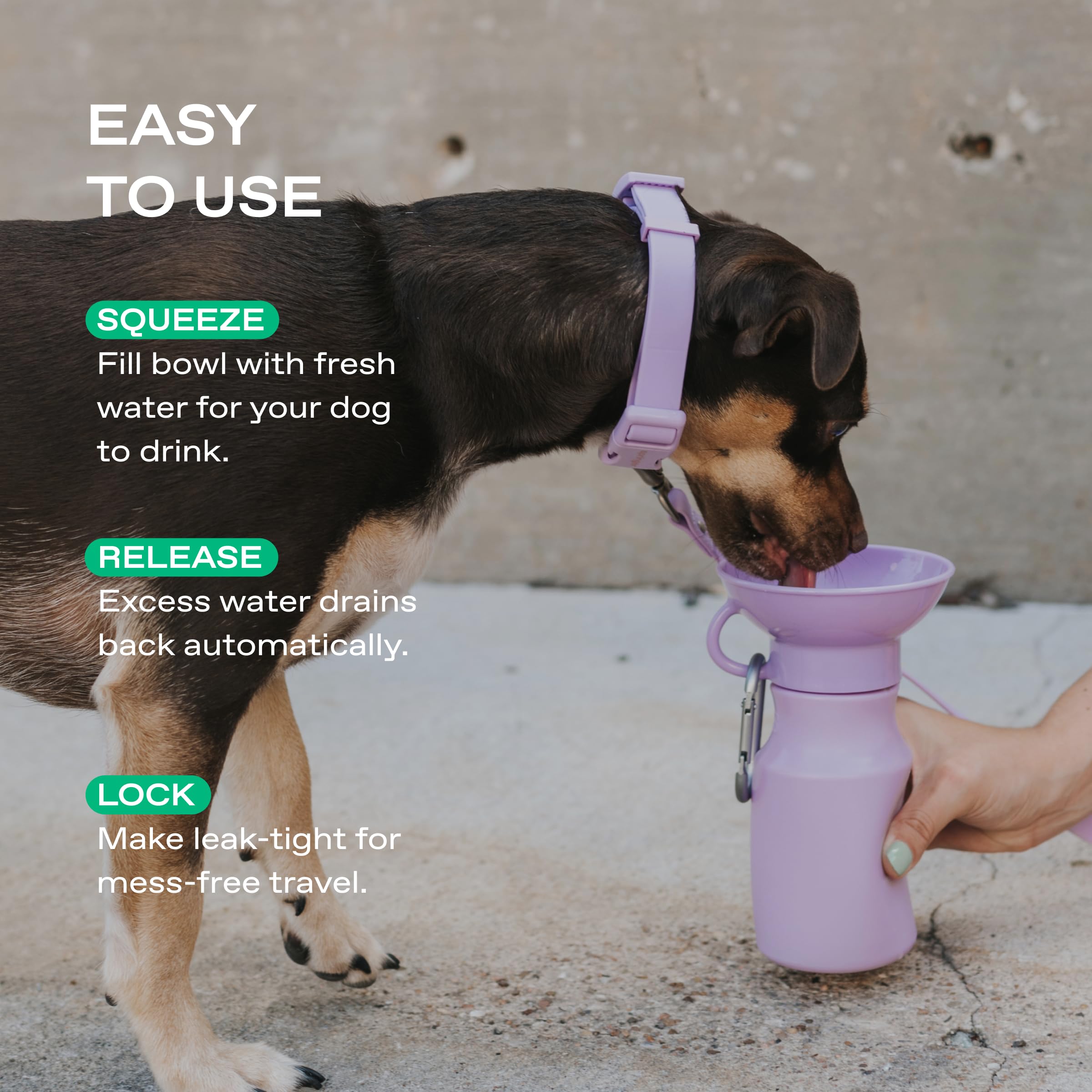Springer by Springland dog water bottle dispenser-bowl ready for quick dog hydration.