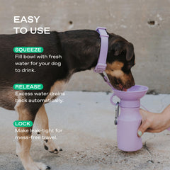 Springer by Springland dog water bottle dispenser-bowl ready for quick dog hydration.
