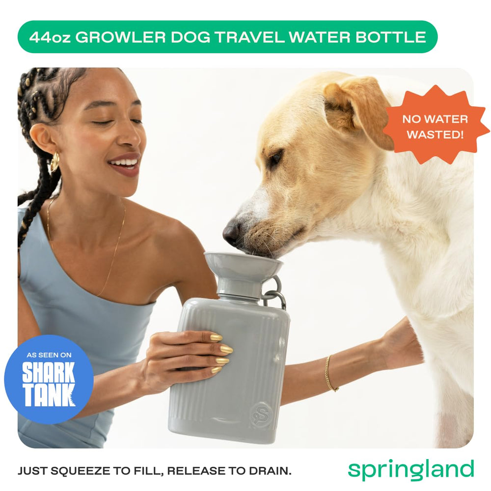 Springer dog water bottle top view in gray.