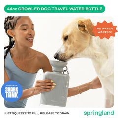 Springer dog water bottle top view in gray.