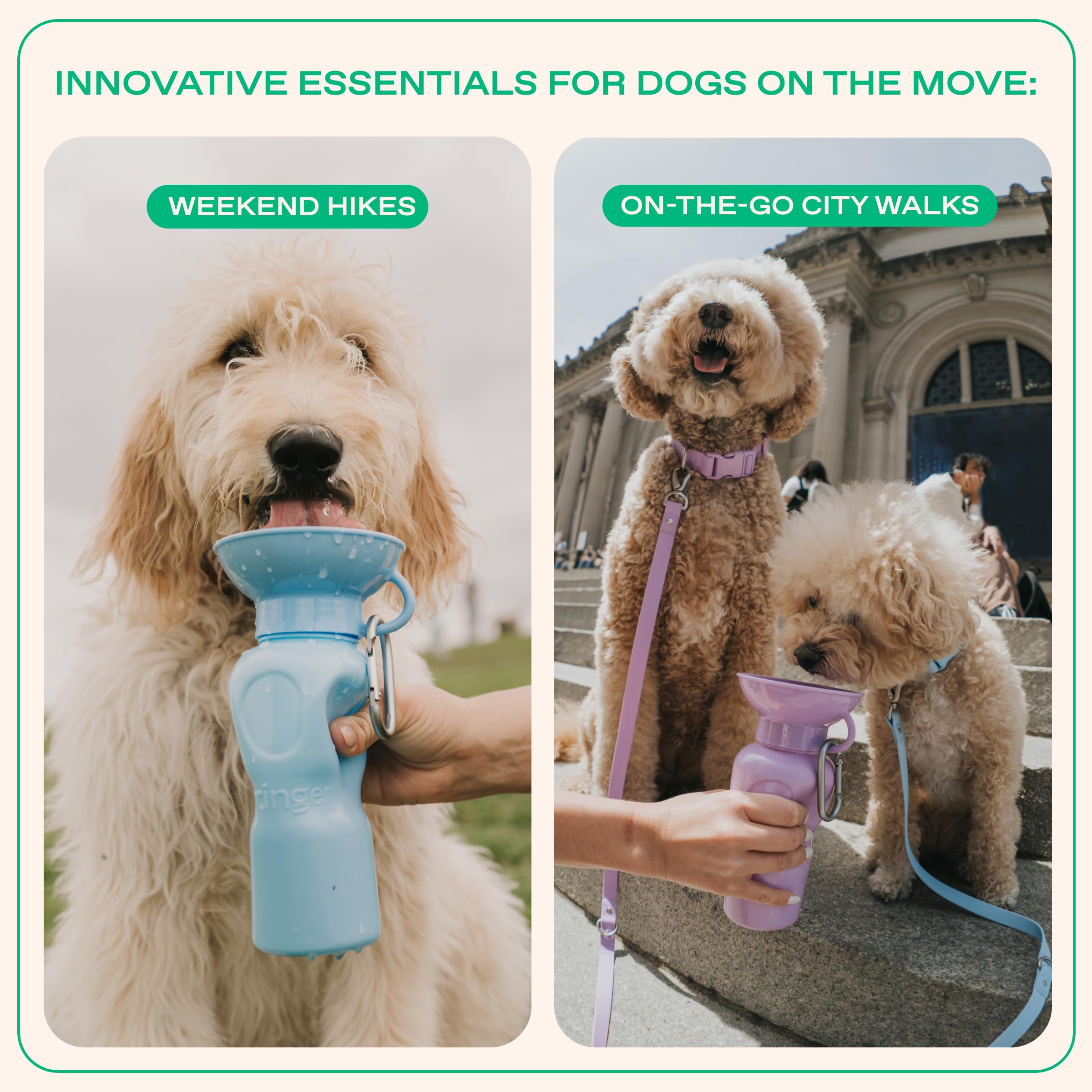 Springer 22oz bottle BPA-free materials for pet safety