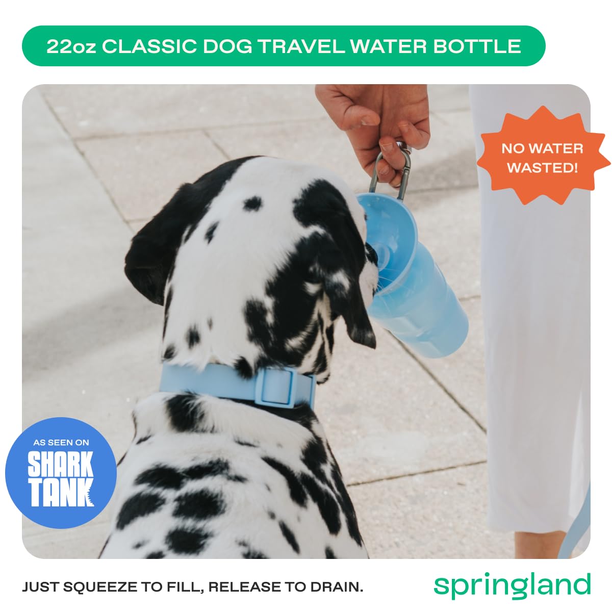 Springer 22oz bottle dog drinking during a walk
