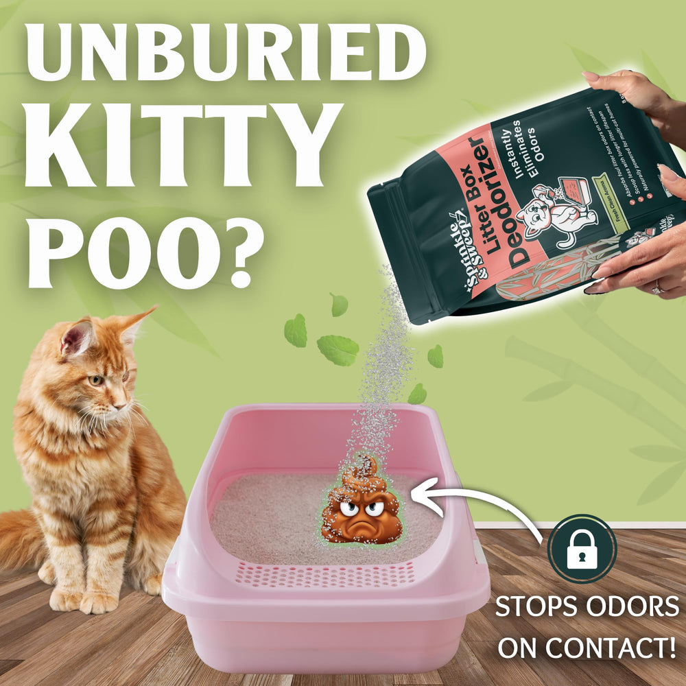 Sprinkle & Sweep litter box odor elimination being applied for freshness.