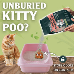 Sprinkle & Sweep litter box odor elimination being applied for freshness.
