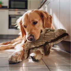 Spunky Pup Hippo squeaker in action boosts interactive play.