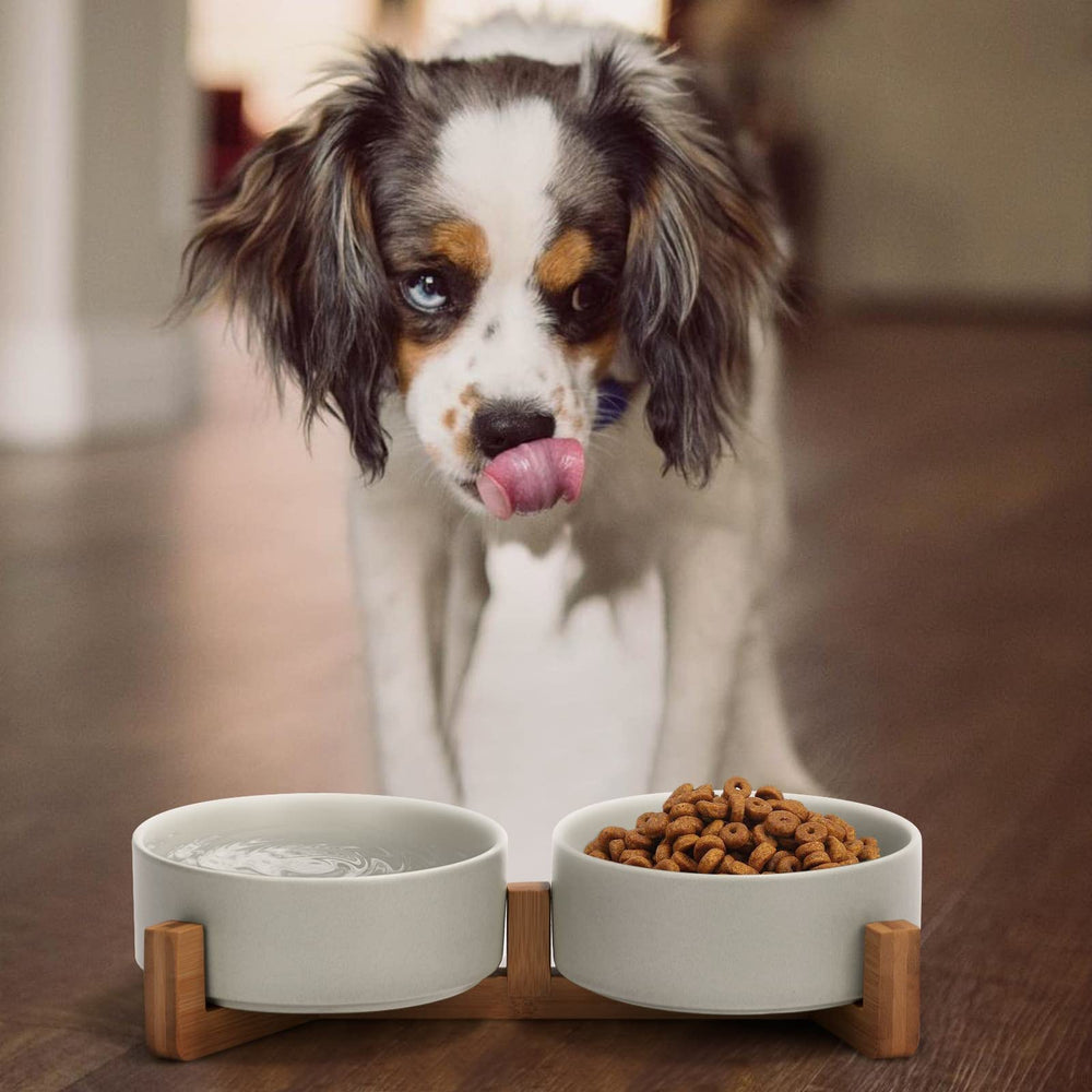 SPUNKYJUNKY ceramic cat bowl on wood stand keeps feeding area tidy.