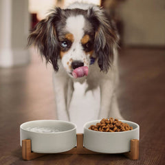 SPUNKYJUNKY ceramic cat bowl on wood stand keeps feeding area tidy.