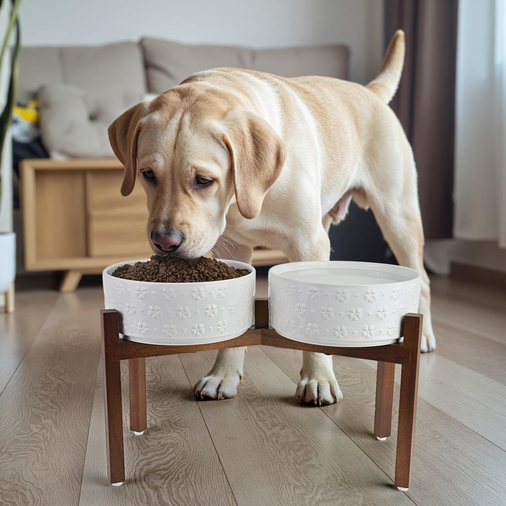 SPUNKYJUNKY easy clean ceramic surface keeps feeding area tidy